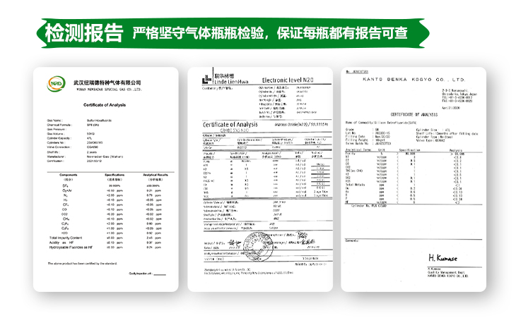 詳情-VOC標(biāo)準(zhǔn)氣_14