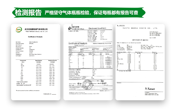 詳情-石油化工標(biāo)準(zhǔn)氣體_14